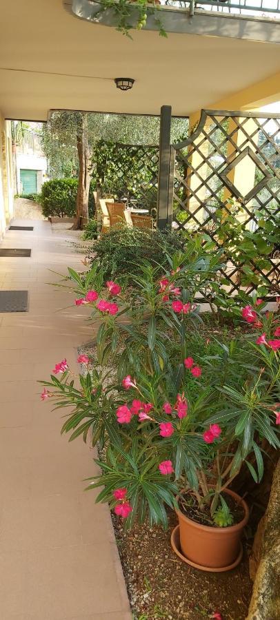 מאלצ'סינה Hotel Casa Popi מראה חיצוני תמונה