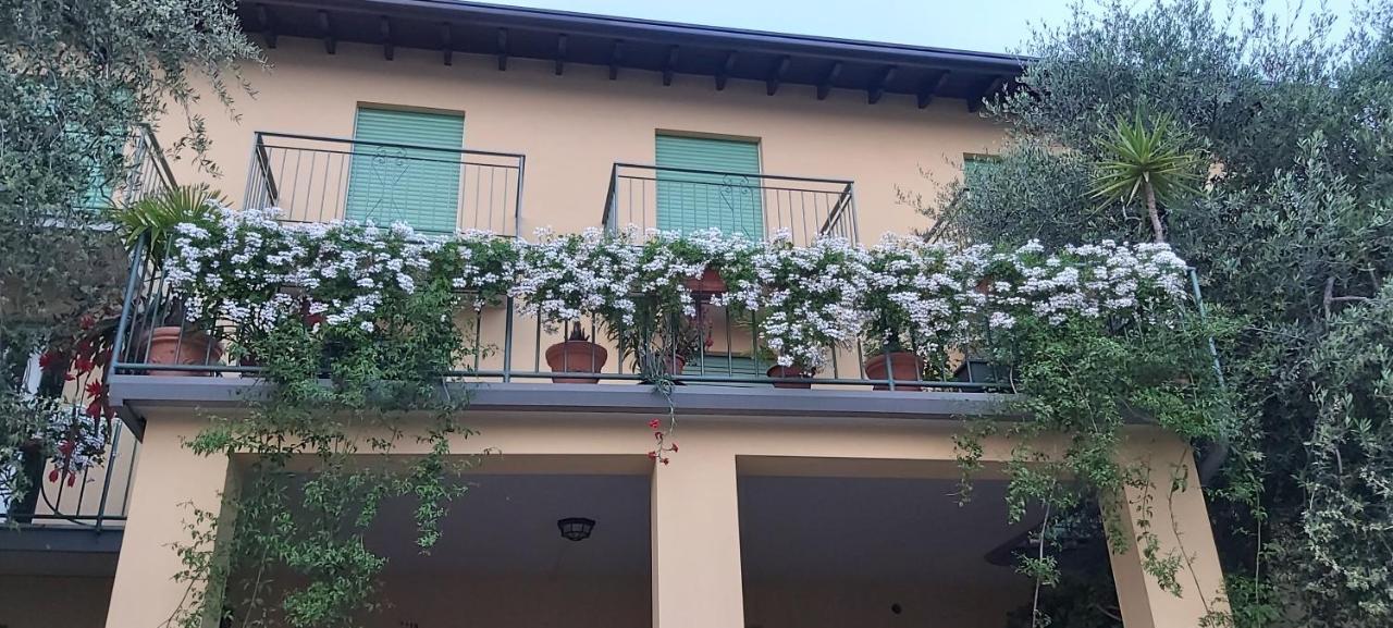 מאלצ'סינה Hotel Casa Popi מראה חיצוני תמונה